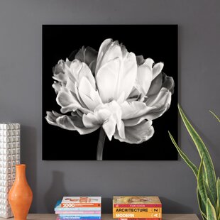 Black And White Flower Art Wayfair Canada